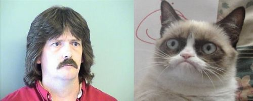 Grumpy Cats Father