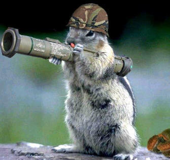 Bazooka Squirrel