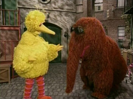 Big Bird And Snuffy