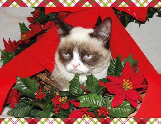 Grumpy Cat Mistletoe