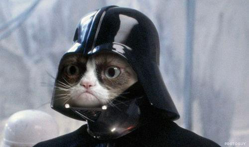 Grumpy Cat Star Wars