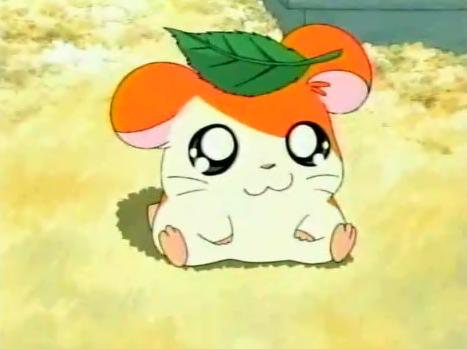 Hamtaro