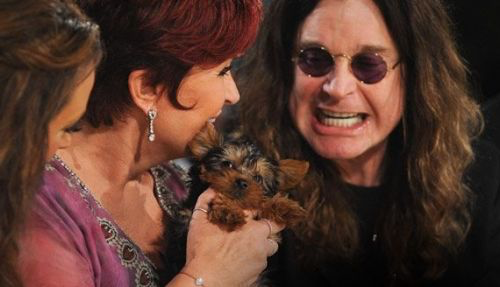 Selfish Ozzy